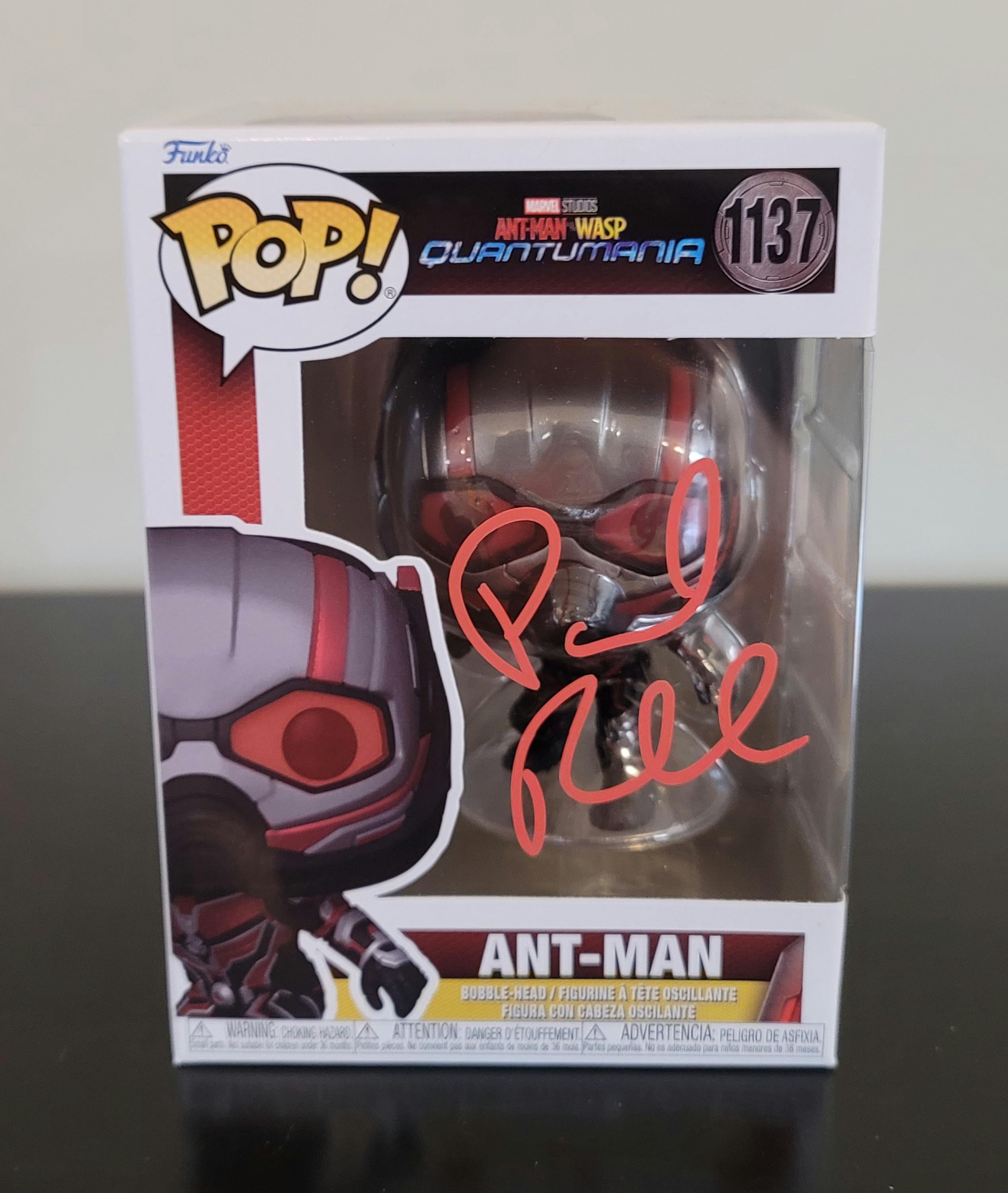 Paul Rudd Signed Autographed Funko Pop Ant-Man with Hologram COA