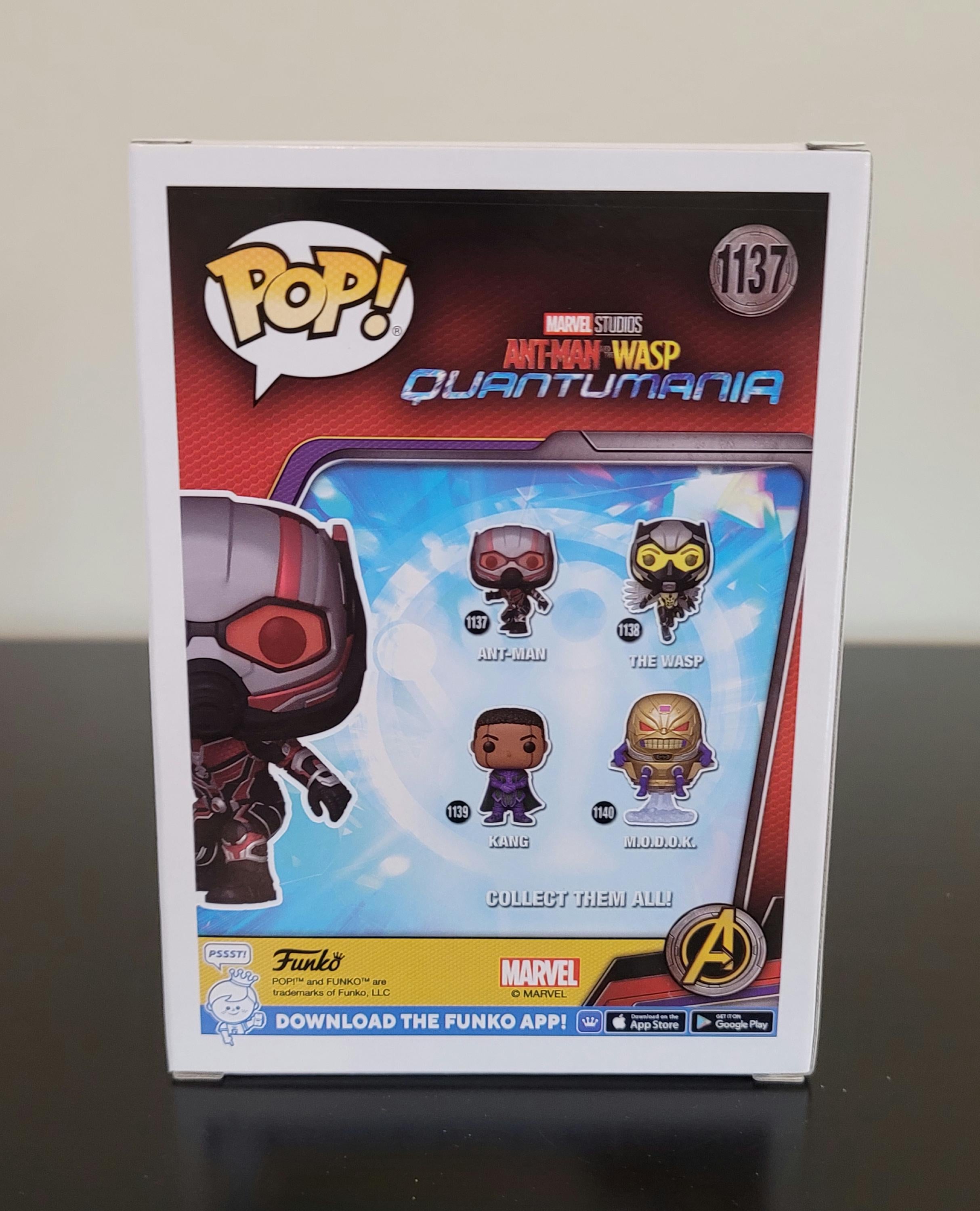 Paul Rudd Signed Autographed Funko Pop Ant-Man with Hologram COA