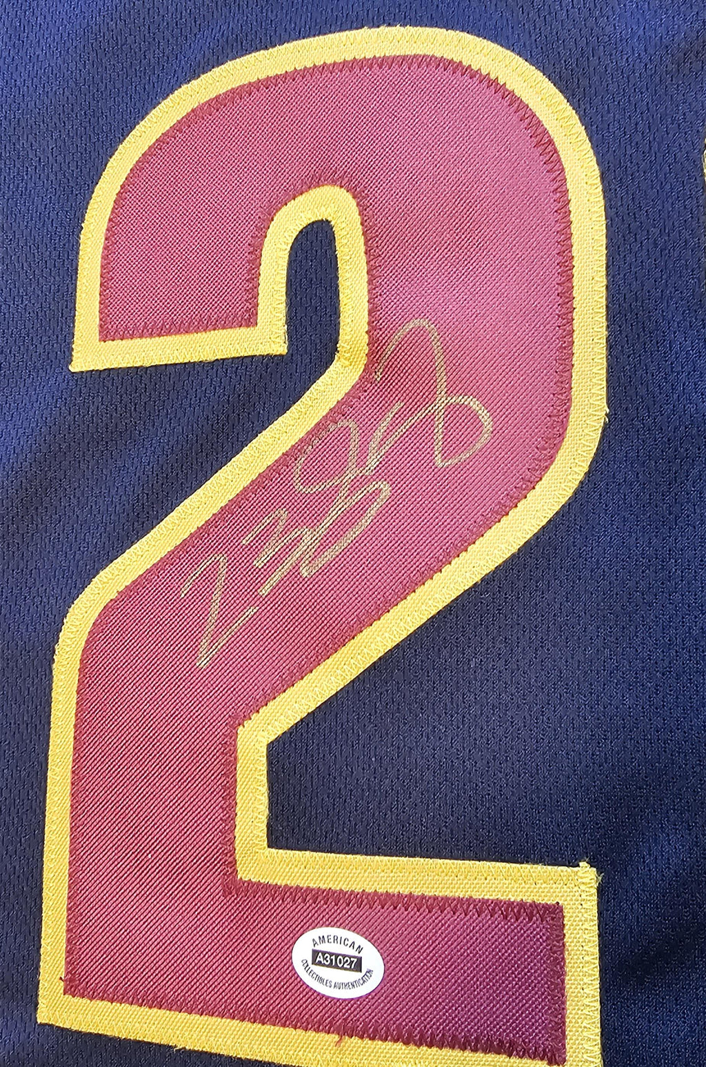 CUSTOM FRAMED LeBron James Signed Autographed Cavaliers Custom Jersey w/ COA