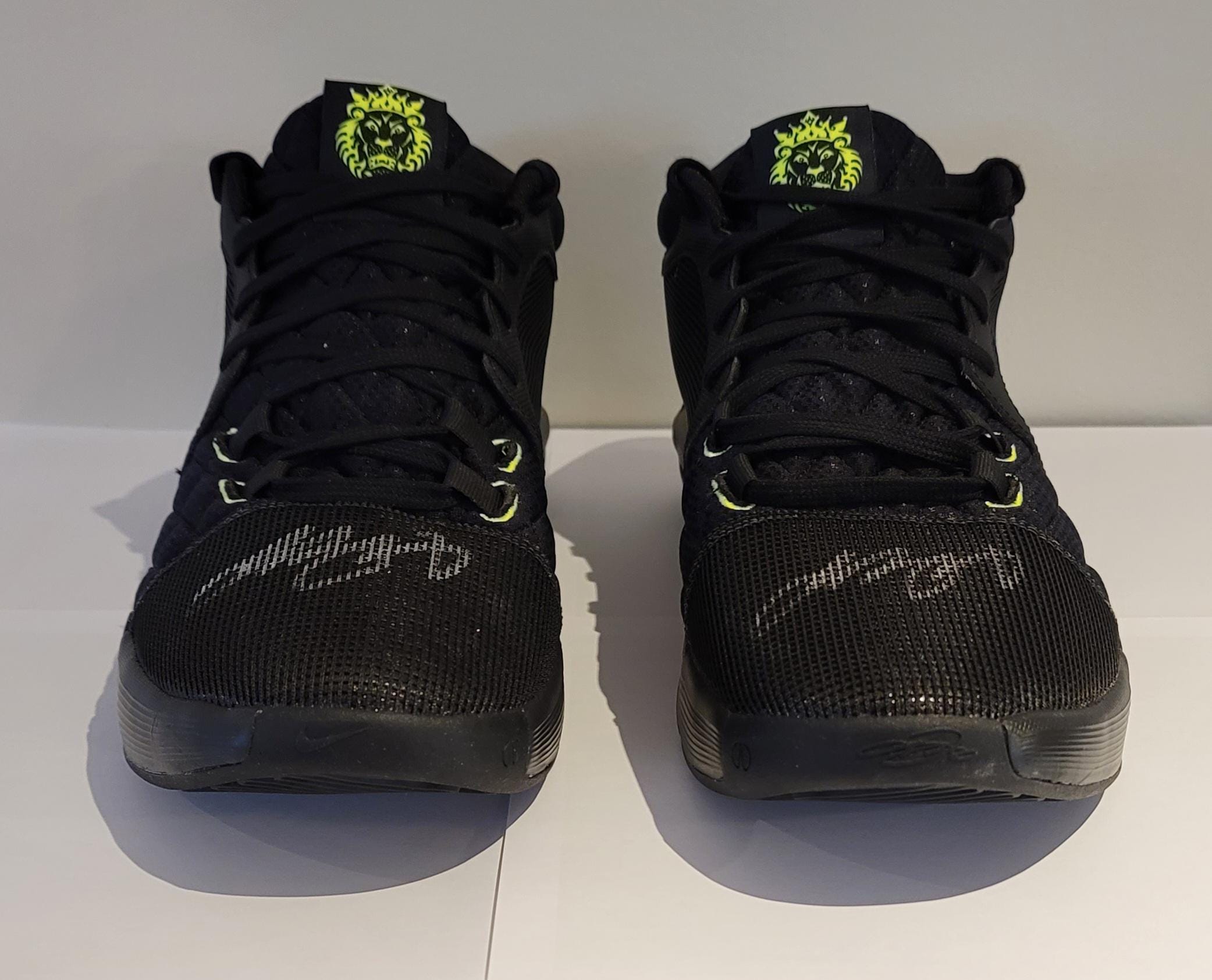 LeBron James Signed Autographed Los Angeles Lakers Custom Shoes w/ Hologram COA