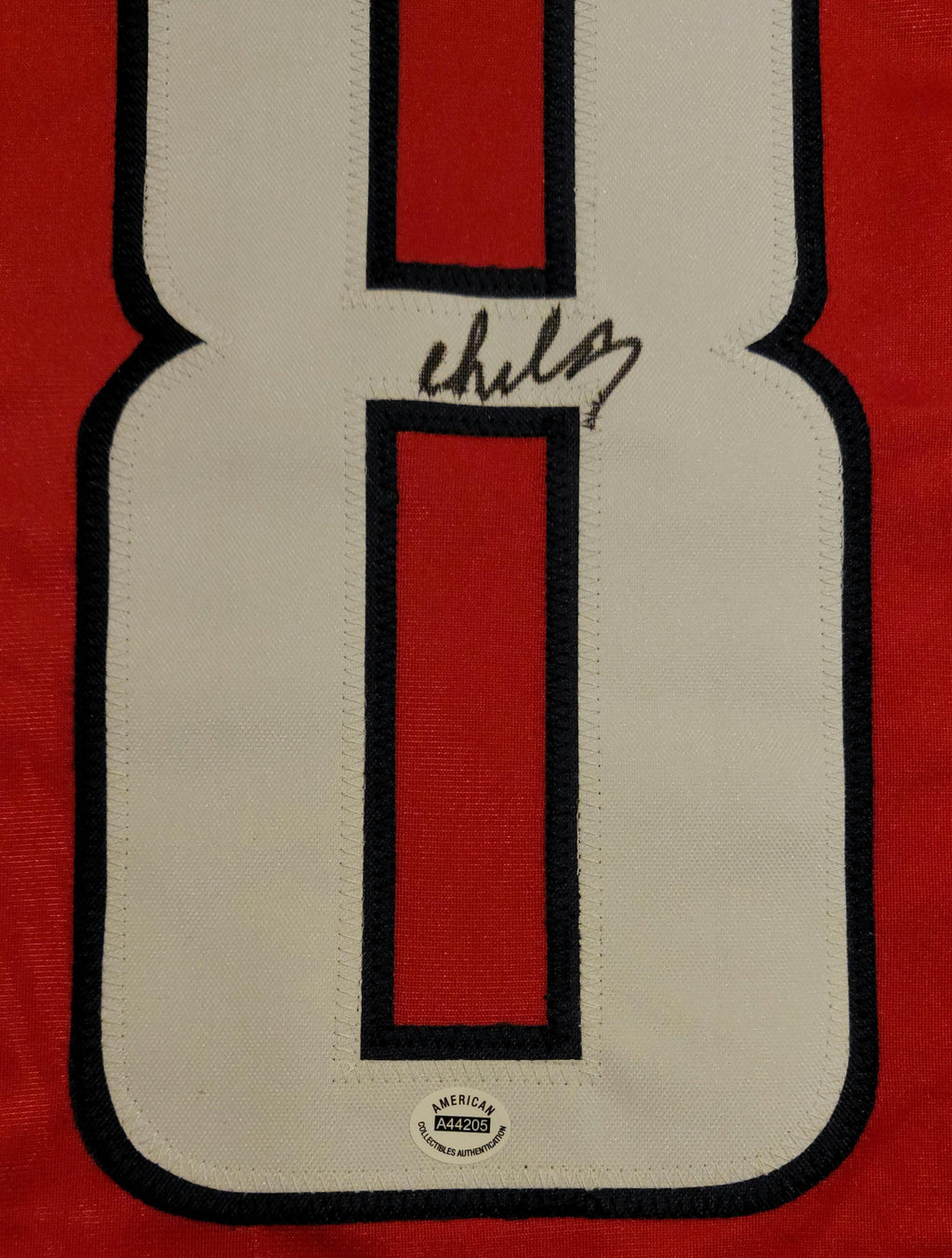 Alexander Ovechkin Signed Autographed Washington Capitals Custom Jersey w/ COA